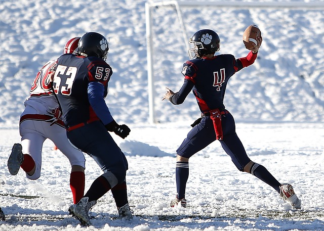 从而导致失 从而导致失