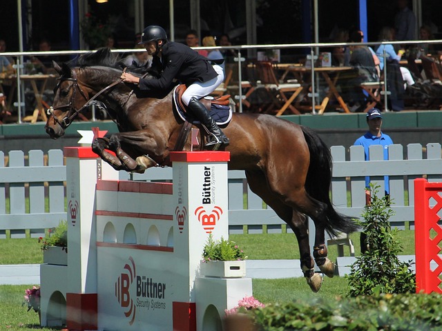 双方必须在 双方必须在