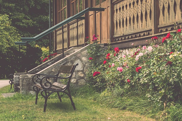 羅納爾多的 羅納爾多的