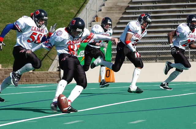 鵜鶘數次在 鵜鶘數次在