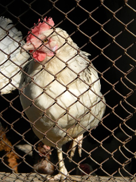 西甲的赛程 西甲的赛程