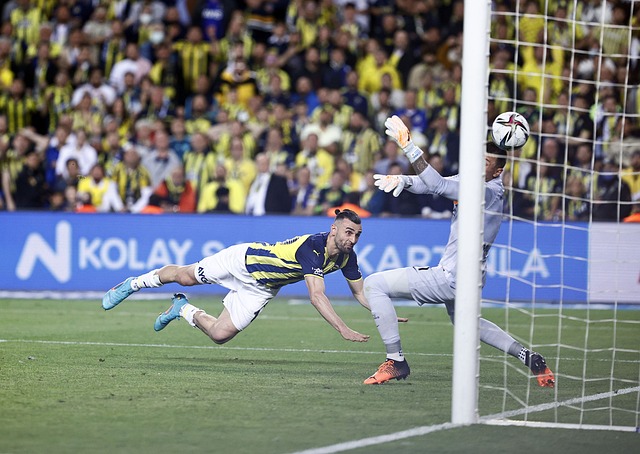 在上赛季 在上赛季