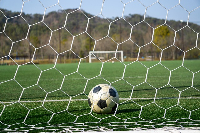 NA的一部 NA的一部