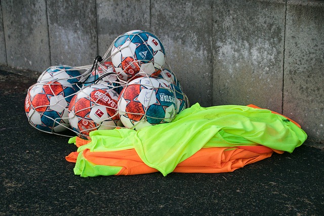 将日本队的 将日本队的